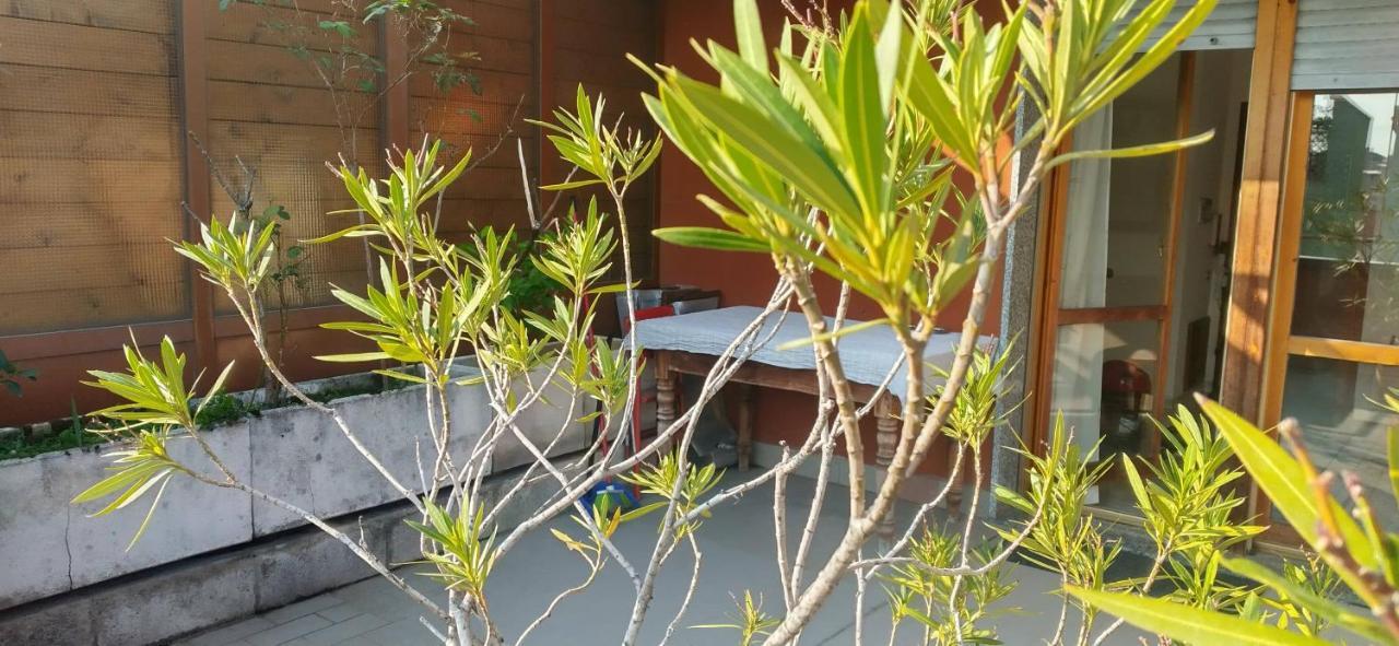 Meraviglioso Super Attico Con Terrazza Milano Exterior foto