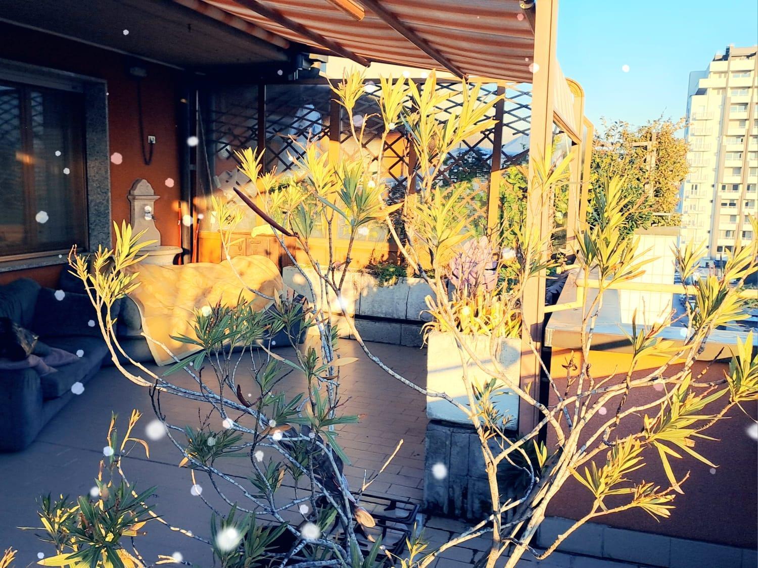 Meraviglioso Super Attico Con Terrazza Milano Exterior foto